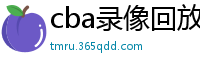 cba录像回放